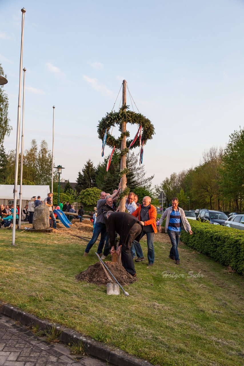Bild 137 - Wiemersdorfer Maibaum